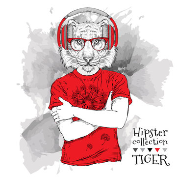 Illustration of tiger hipster dressed up in t-shirt, pants and  in the glasses and headphones. Vector illustration.