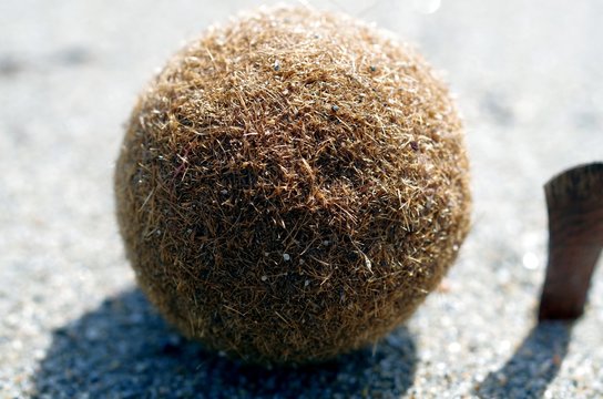 Fotografia del Mare e della Spiaggia