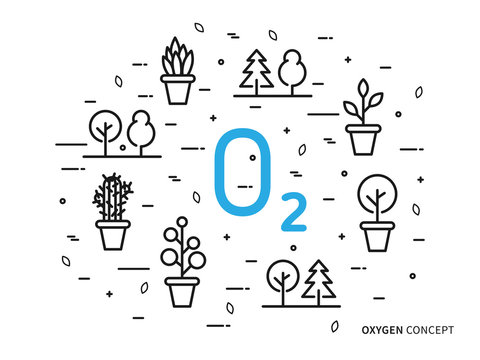 O2 (oxygen) linear vector illustration with house plants. Natural (ecology, ecological) oxygen creative graphic concept. Natural eco oxygen process for science, chemistry, biology.