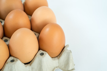 Eggs in paper tray