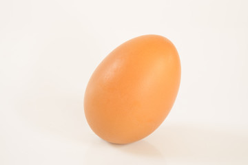 Chicken egg