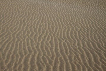 Fototapeta na wymiar Sudanese desert sand