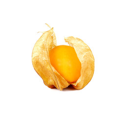 Physalis fruits isolated on white background.