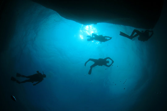 Scuba divers explore coral reef