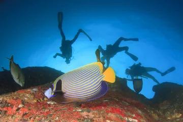 Dekokissen Scuba divers explore coral reef © Richard Carey