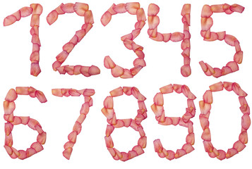 all number made of pink rose petal