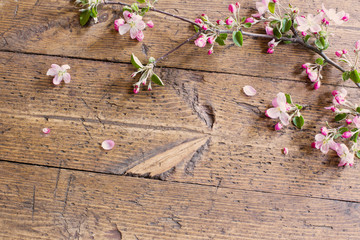 apple flowers on wooden background