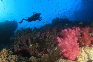 Fototapeta na wymiar Scuba divers explore coral reef