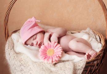 Obraz na płótnie Canvas Newborn baby girl in hat with flower