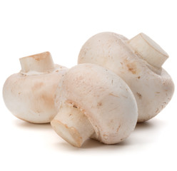 Champignon isolated on white background cutout
