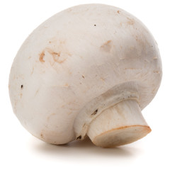 Champignon isolated on white background cutout