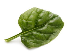 Baby spinach leaves isolated on white background cutout