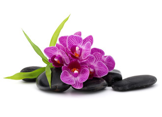Naklejka na ściany i meble Zen pebbles and orchid flower. Stone spa and healthcare concept.
