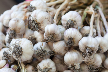 Fresh garlic