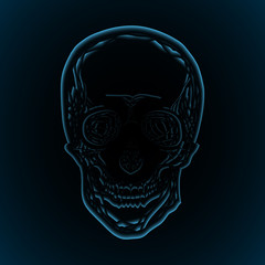 X-rays of the human skull