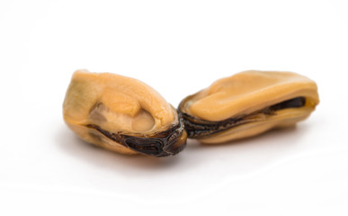 mussels isolated
