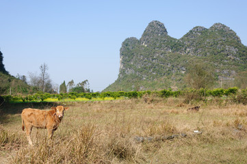 The beautiful mountains scenery
