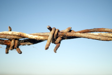 close up of barbed wire fence with blue sky background