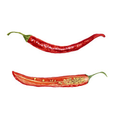 watercolor red chili peppers