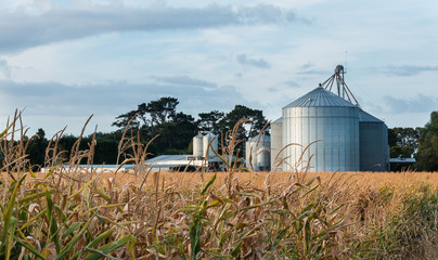 Maze Silos © rghenry