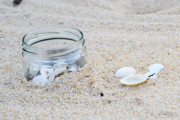 bottle of shell on golden beach and sand