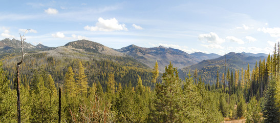 Obraz premium The Fall Colors of Larch Splashing Across the Elkhorn Mountains, Baker County, Eastern Oregon