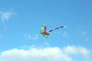 Kite in blue sky background