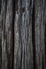 old wood surface abstract background, blurred and vignette corner, dark toned