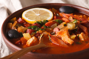 Solyanka - Russian meat soup in bowl macro horizontal