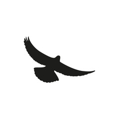 Simple black one dove symbol. Wingspan is pigeon