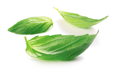 Fresh basis leaves isolated on white