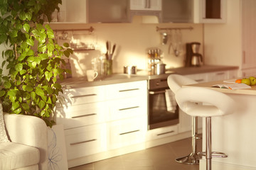 Modern beautiful kitchen interior