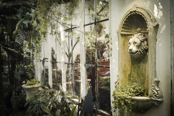 english cottage garden in Thailand
