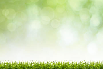 Fototapeta na wymiar Grass and green blurred background