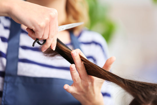 Professional hairdresser cutting hair