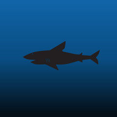 shark silhouette swimming wild animal, isolated fish