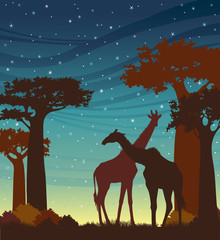 Silhouette of two giraffes and night sky.