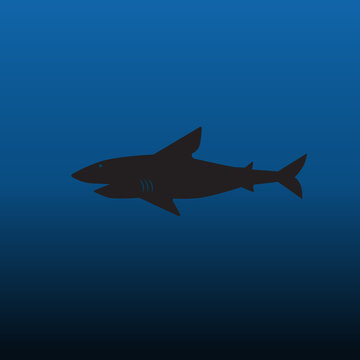 shark silhouette swimming wild animal, isolated fish