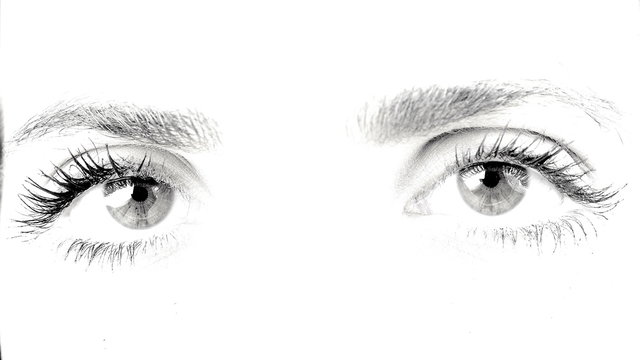 Portrait of female eyes black and white 4K
