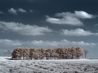 Norddeutsche Landschaft