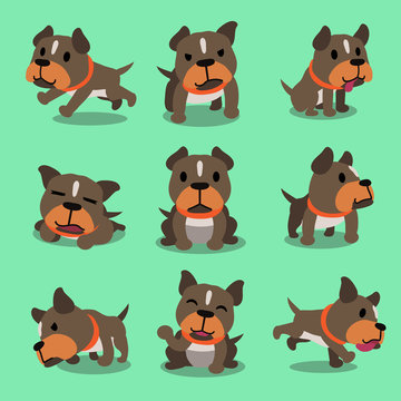 Cartoon character pit bull terrier dog poses