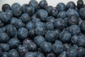  Fresh washed blueberry background. Focus across