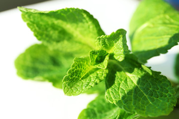 Mint leaves, closeup