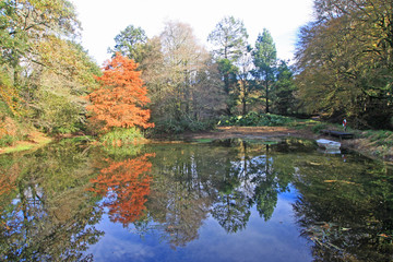 Lake in Autumn