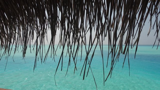 view to bungalow straw shed and sea