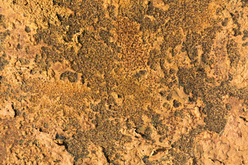 Background texture of Rusted steel