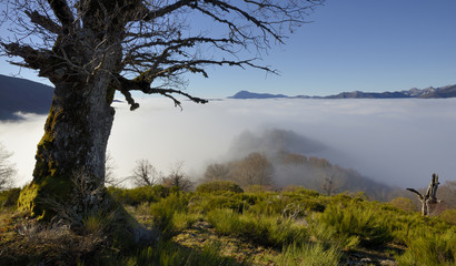 Mar de niebla en la montaña