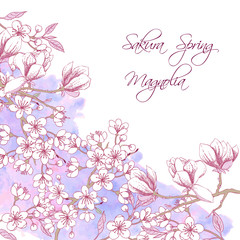 Fototapeta na wymiar Sakura and Magnolia