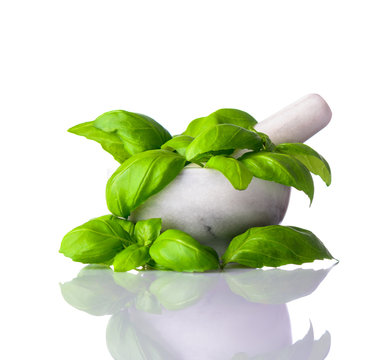 Basil in Pestle and Mortar on White Background