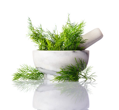 Green Dill in Pestle an Mortar on White Background